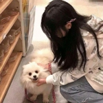 玄魔主宰游戏